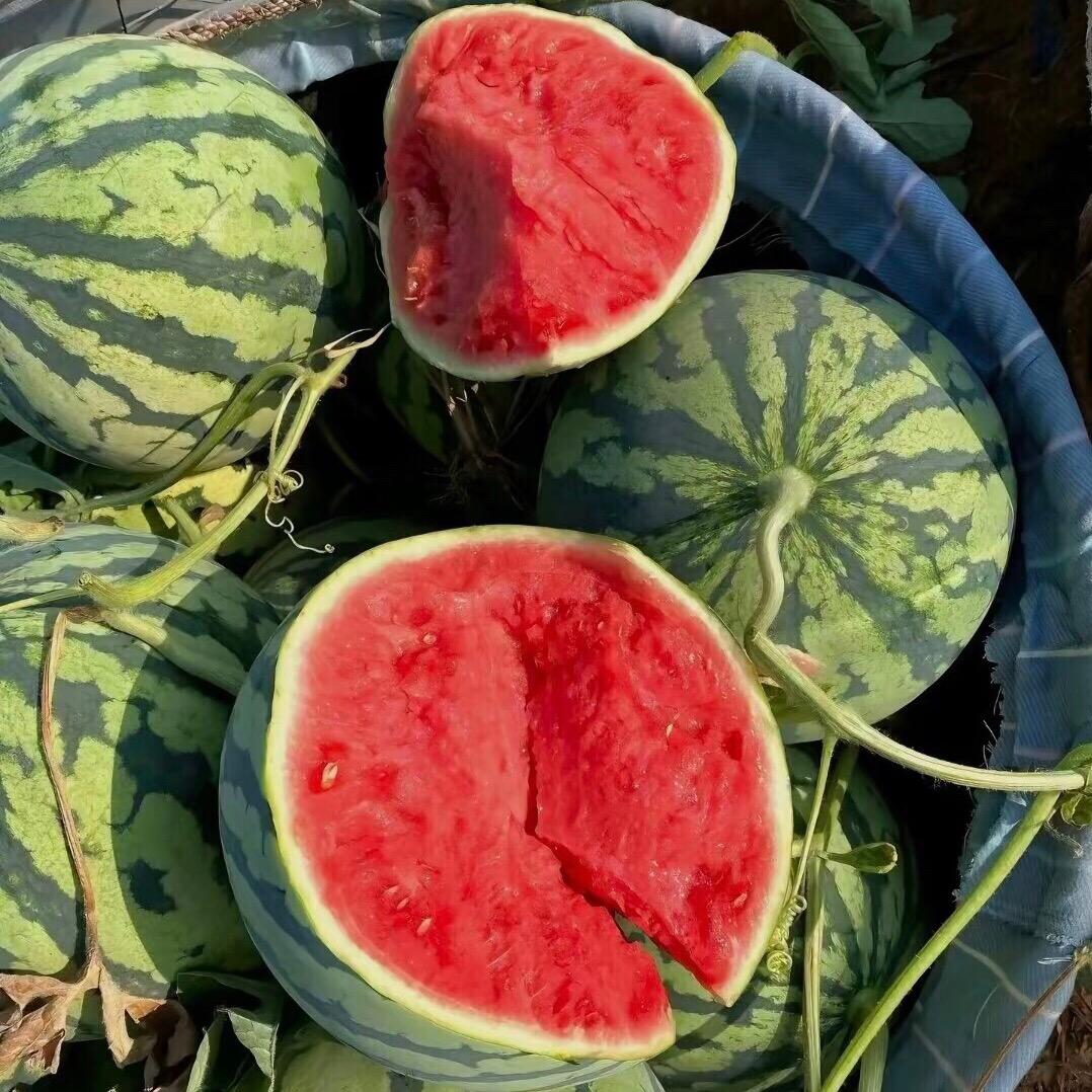 治愈……