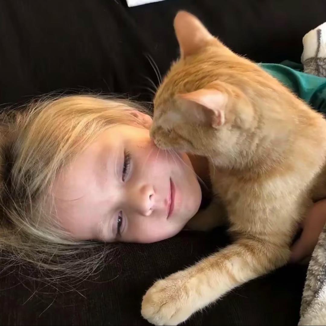 ￴￴ ￴ ￴ ￴￴￴