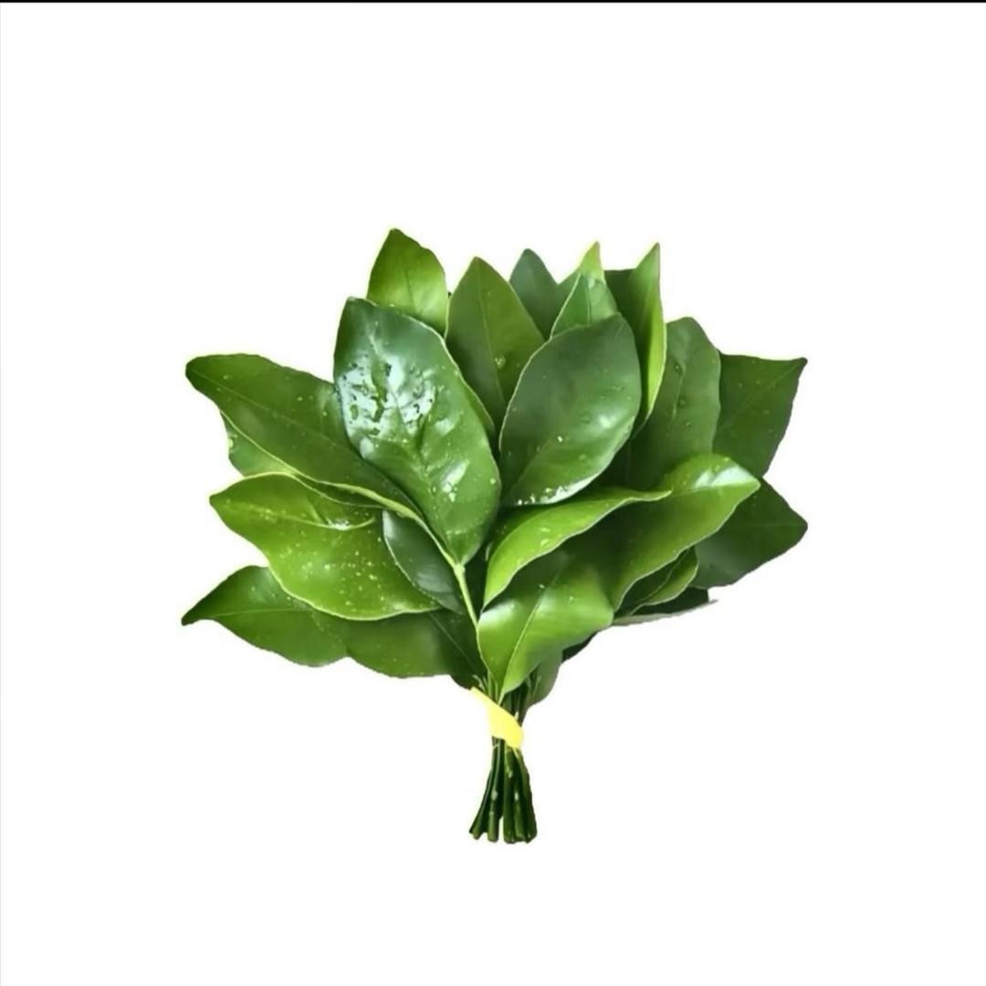 豆浆