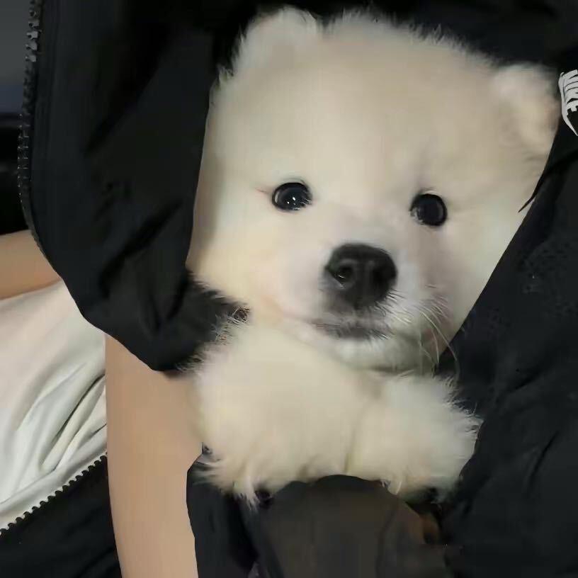 站最后.