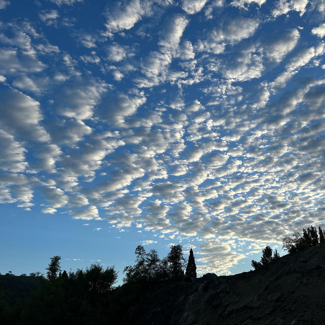 圉湢萇嚠