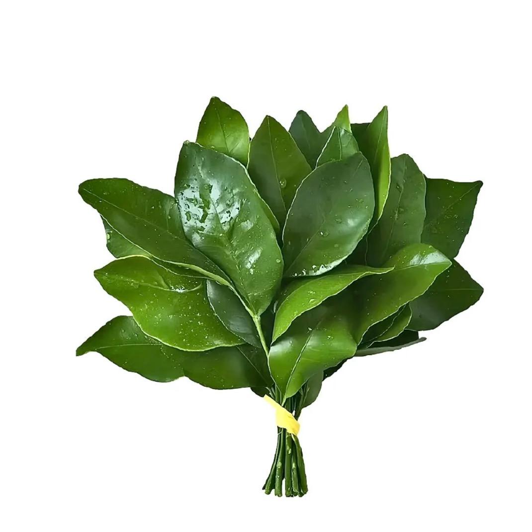 五十岁没牙老太太