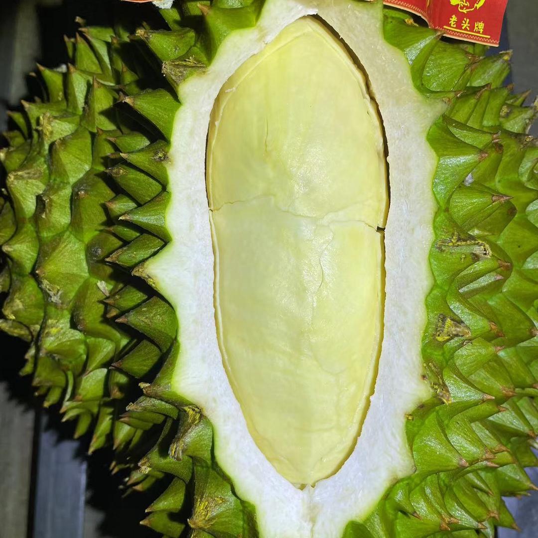 独闯边疆赵先生