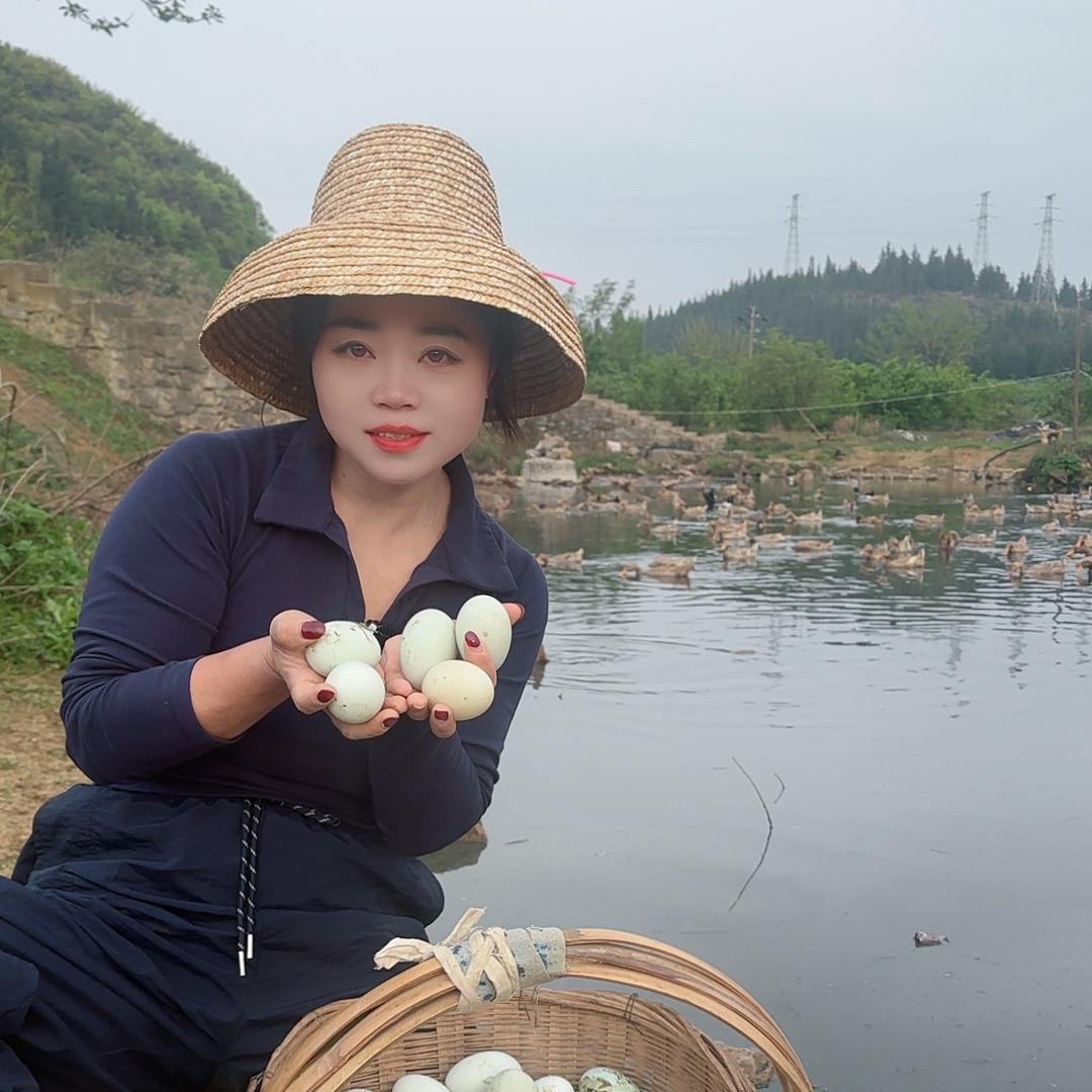 香香家高山菜园