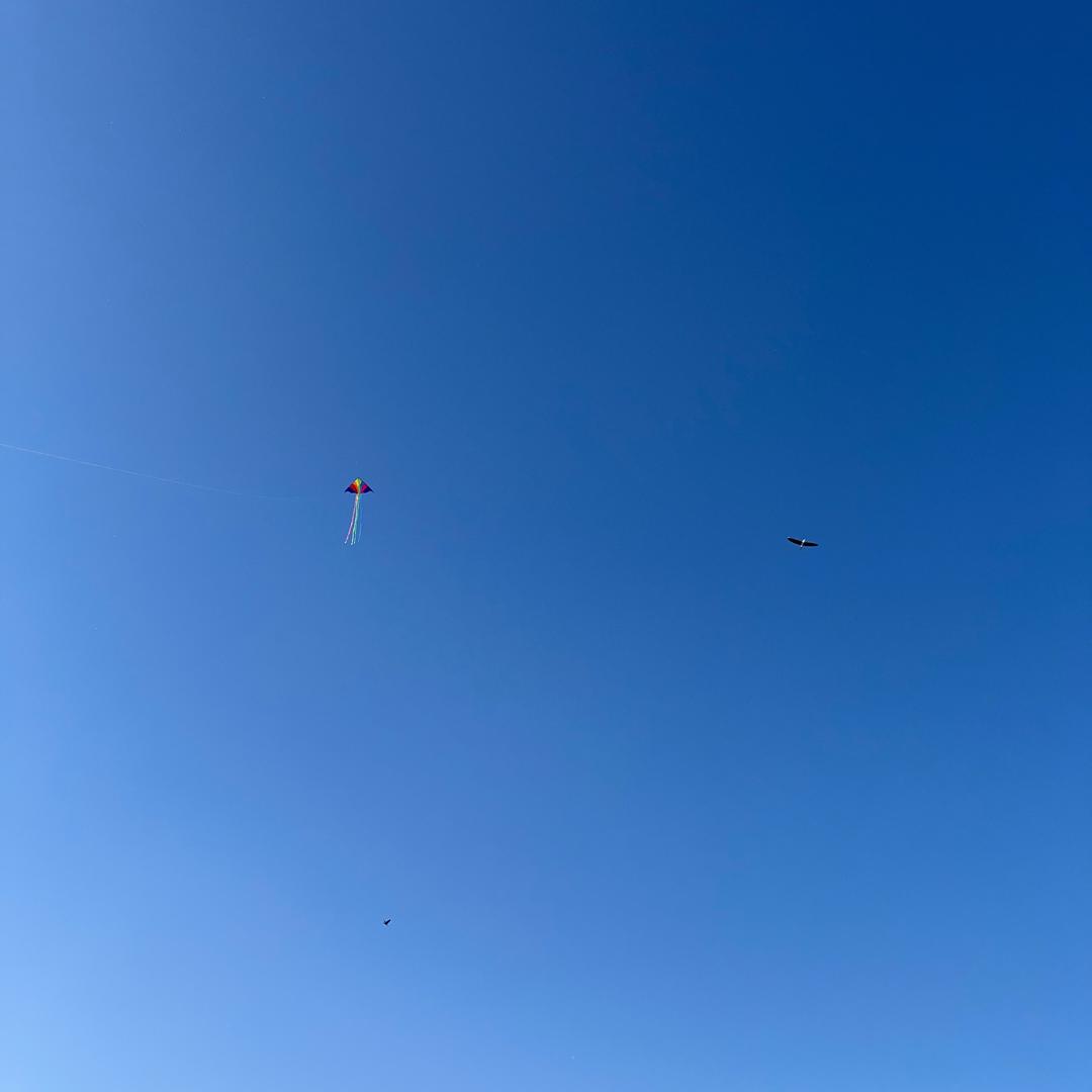 菊子（铛铛妈）