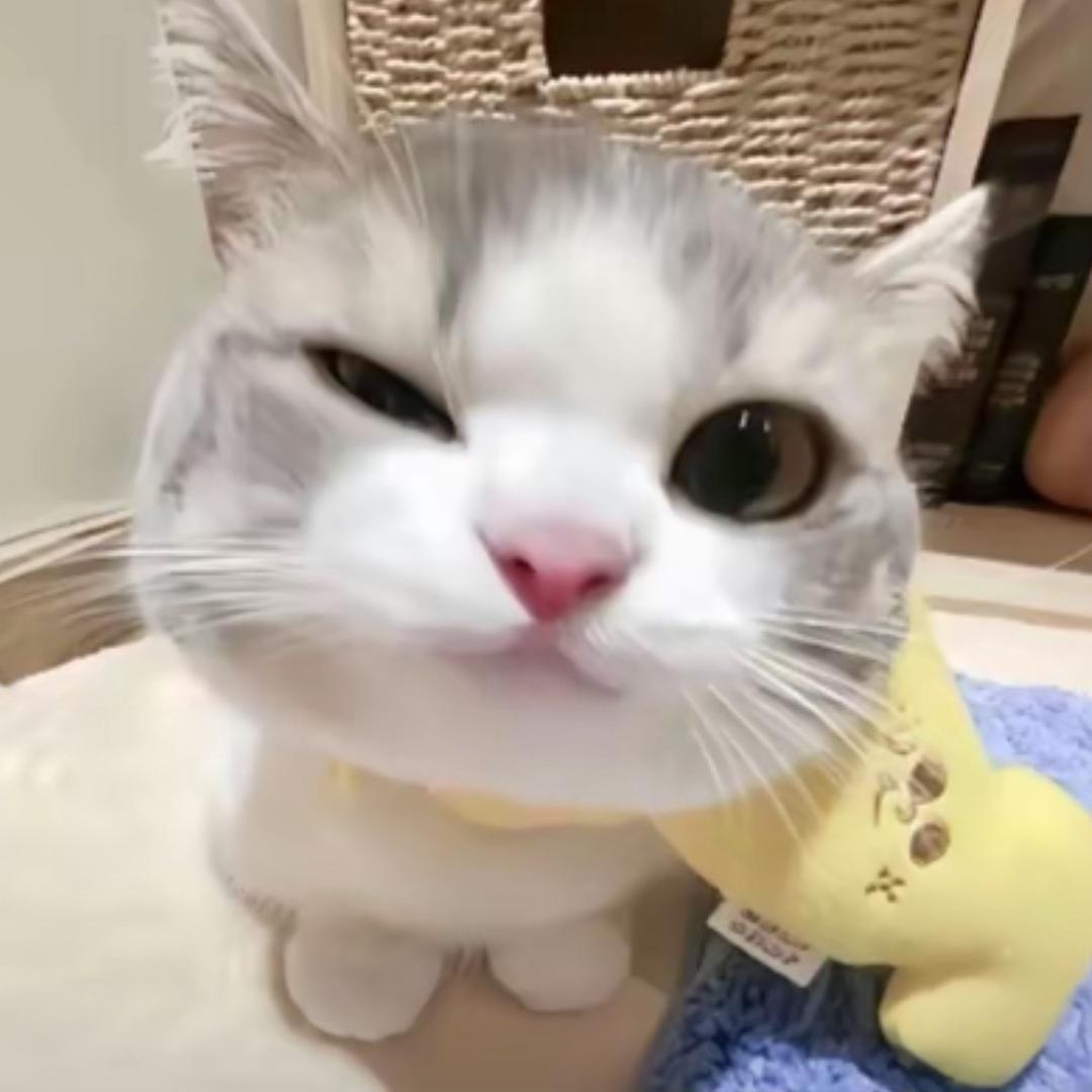 秀味土豆泥
