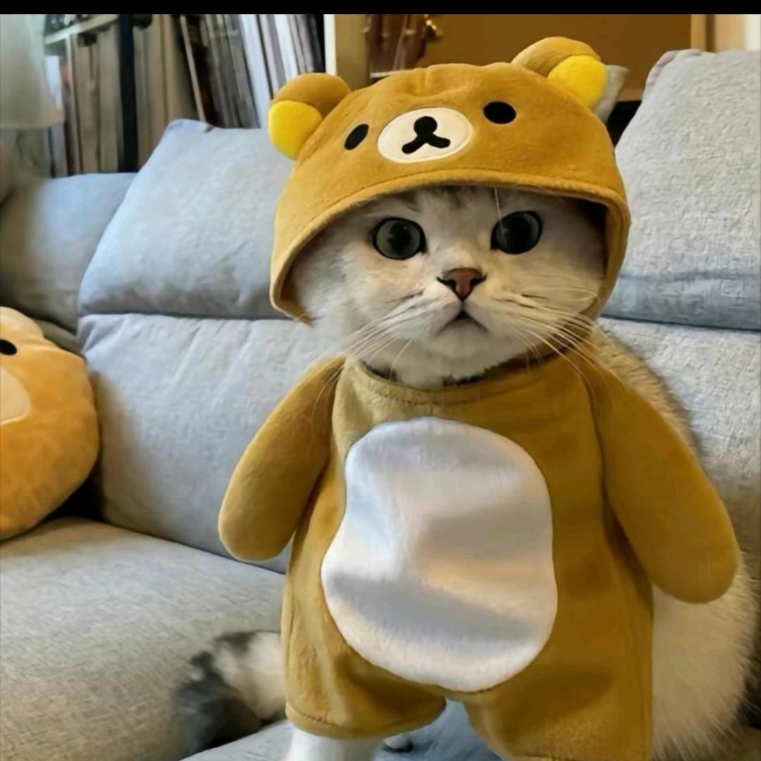 阿司匹林（练琴中