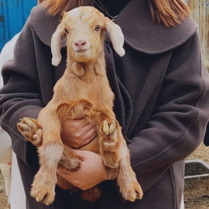 李今天开心了没