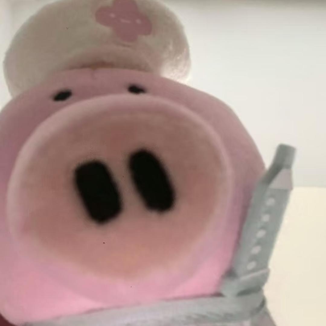 诺叽叽🍦