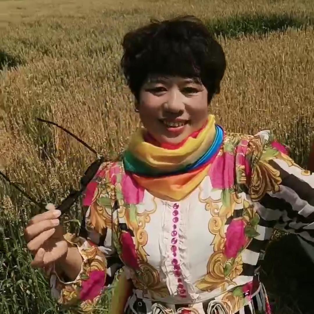 杨洪波
