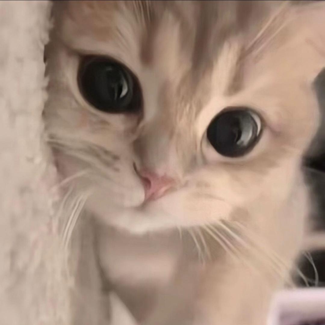 茹茹茹