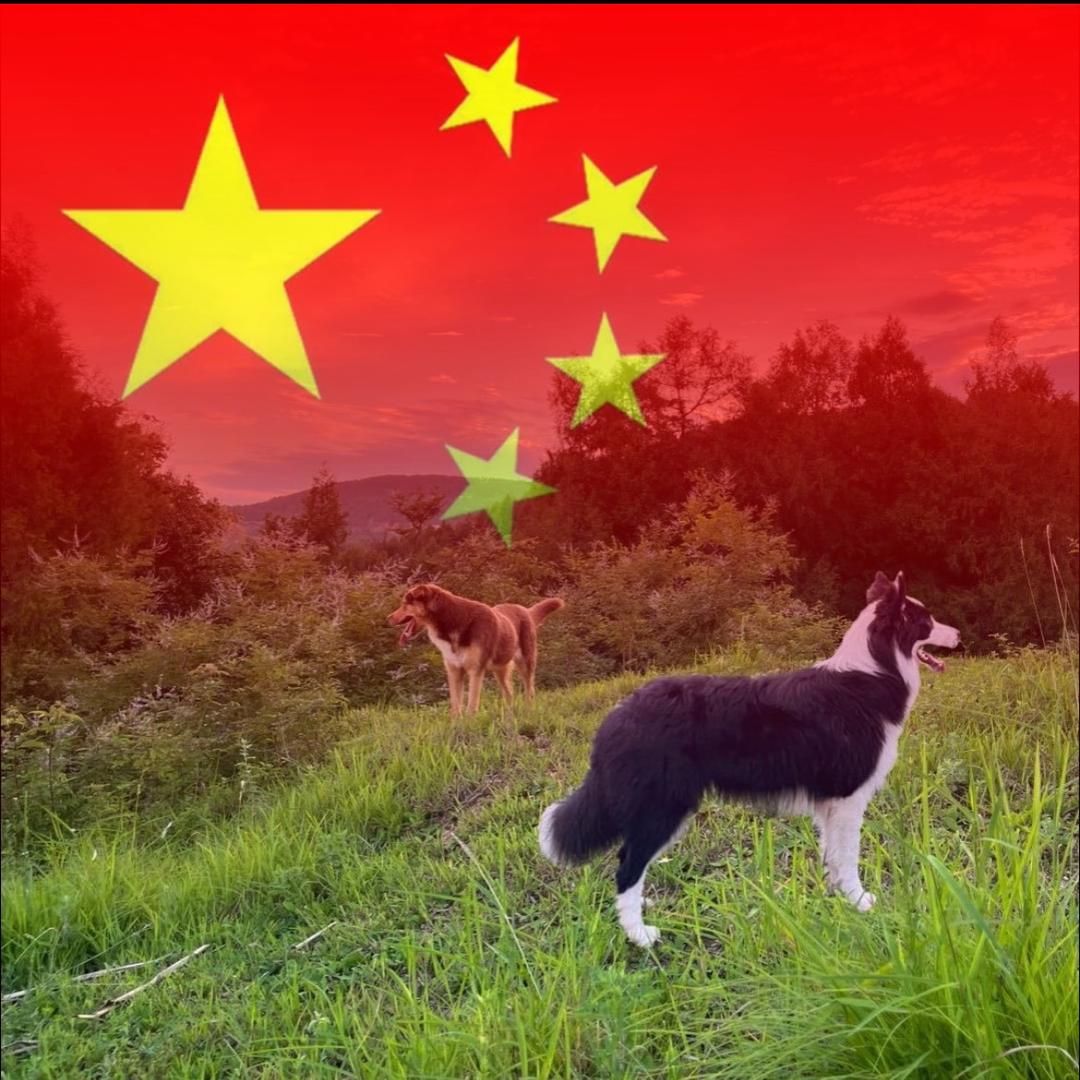 仙人板板！起风了🍂