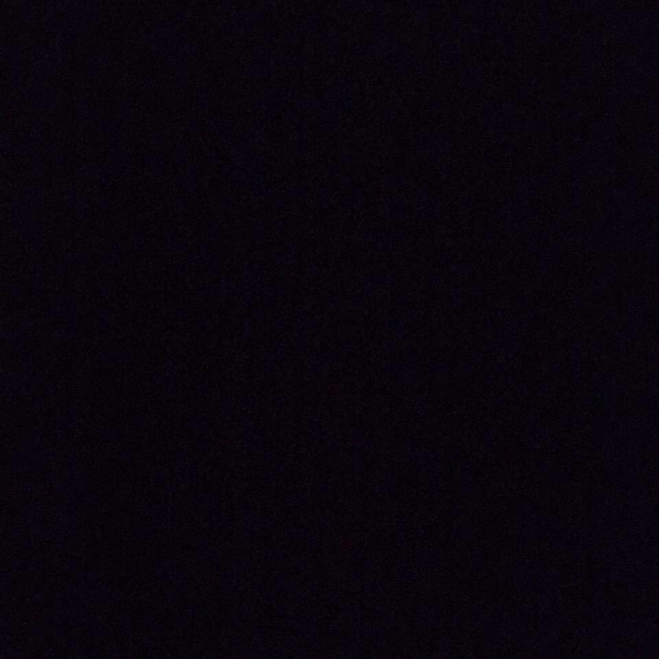 肆月