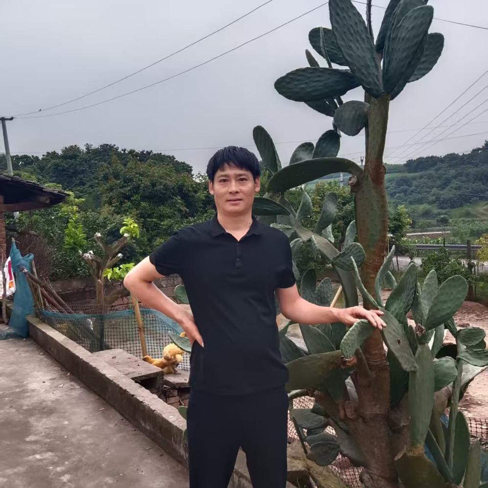 泸州啊朋