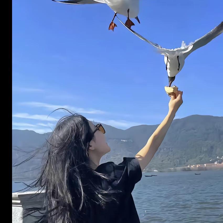 鹤归.