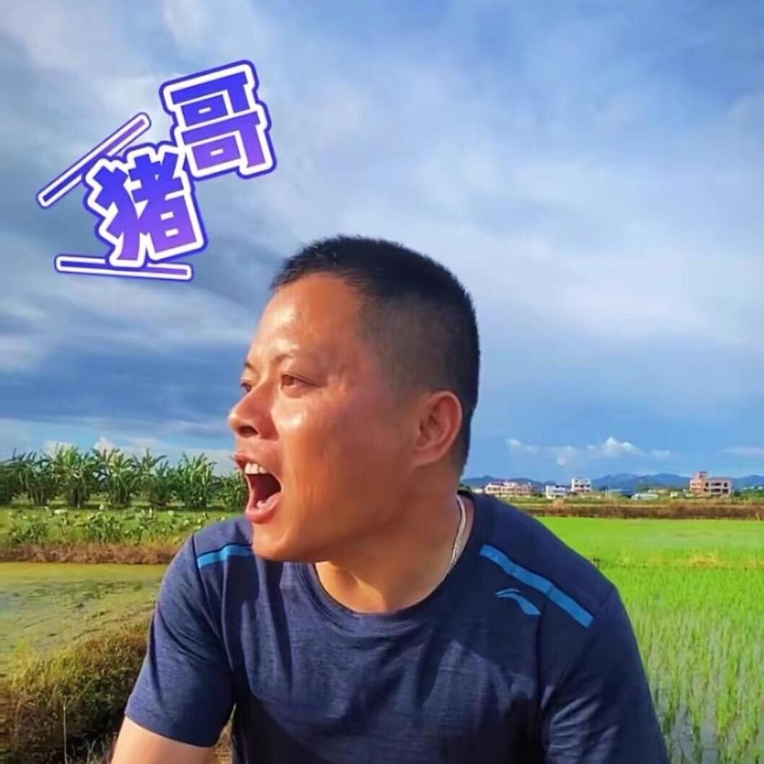 广东酿豆腐