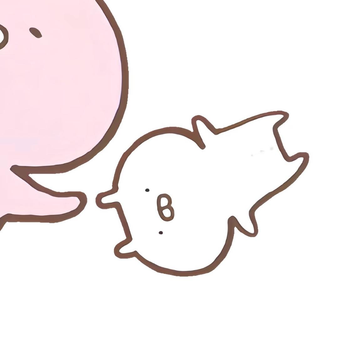 🐽