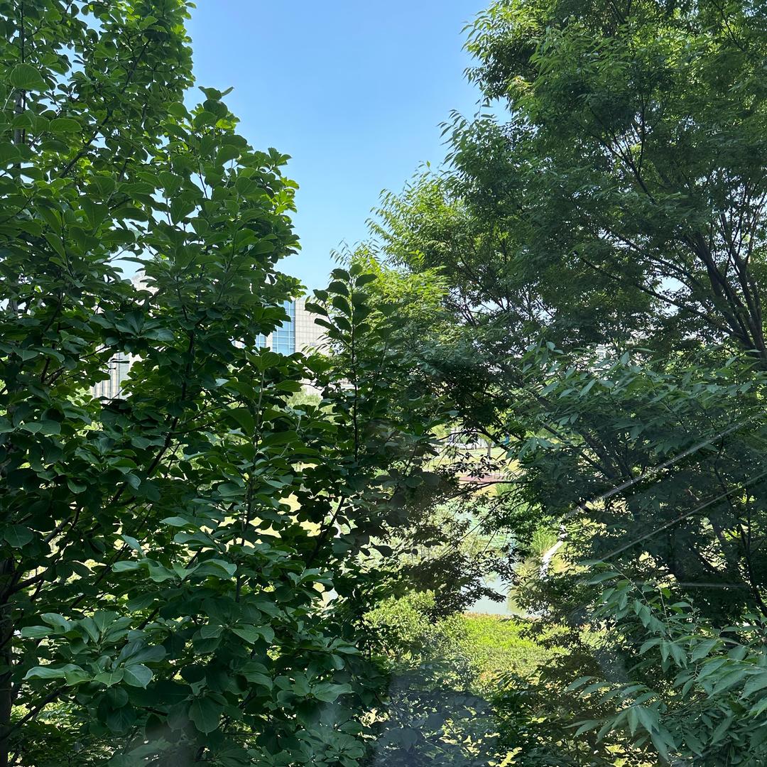 戴眼镜的大姐姐