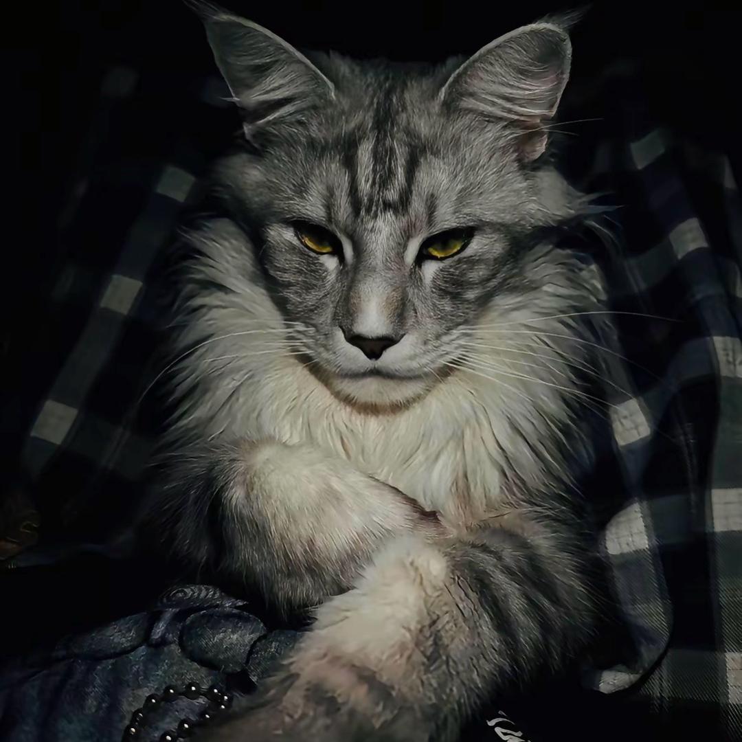 🦴