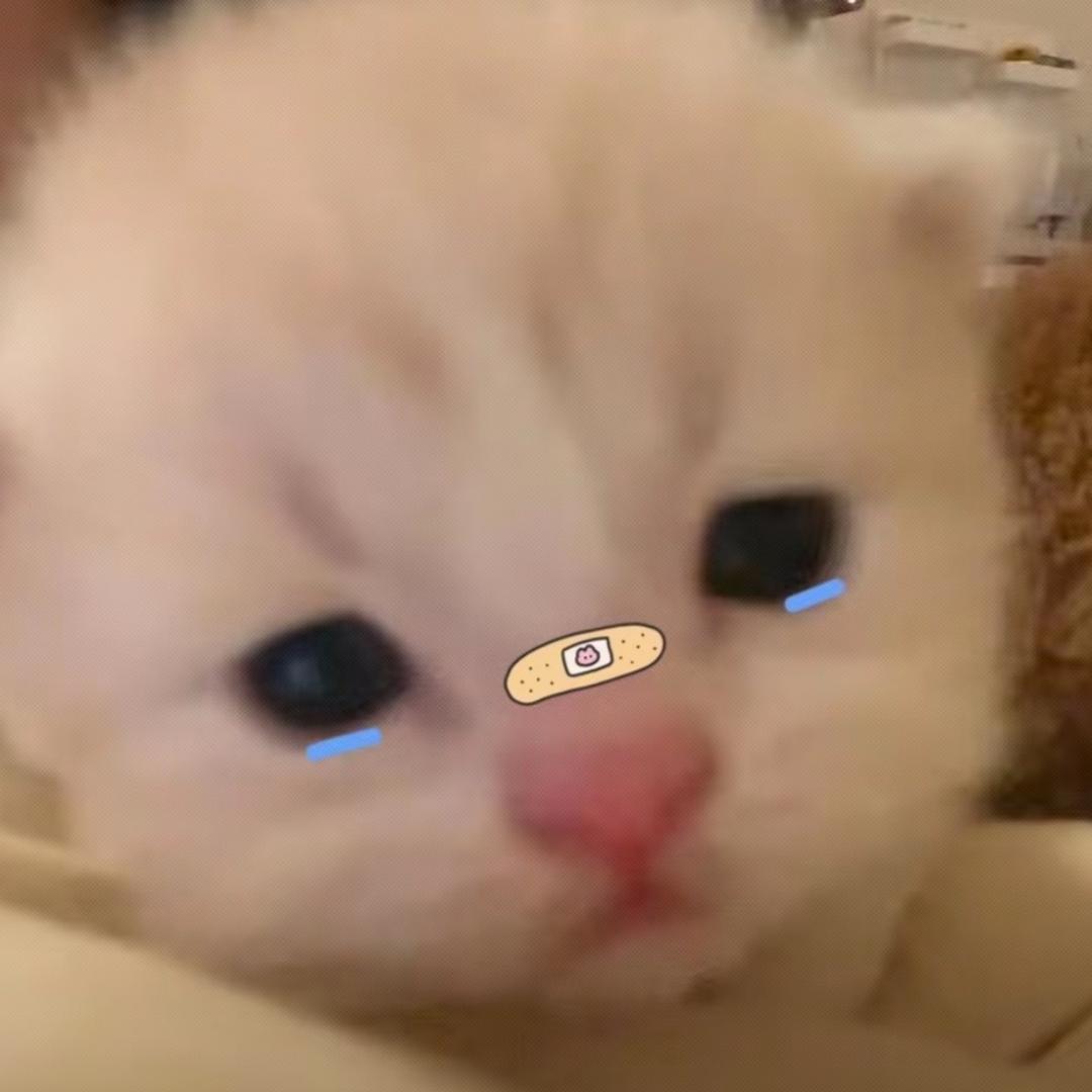 冷冰冰