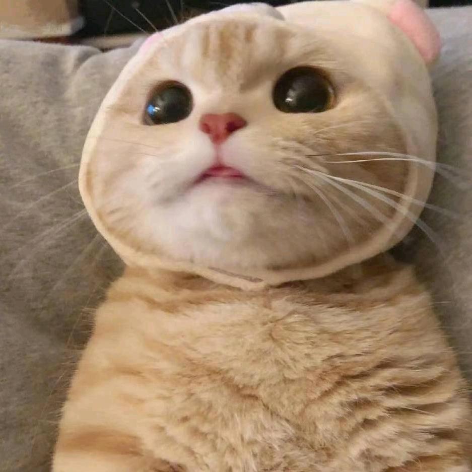 多多一萌宠生活馆