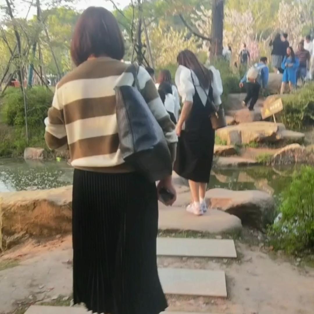 高老八