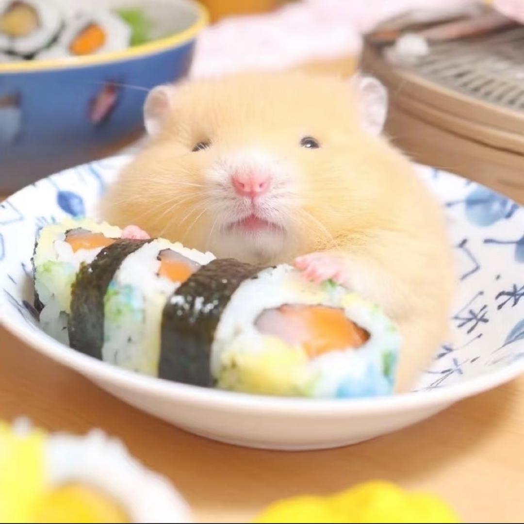 鼠鼠我阿