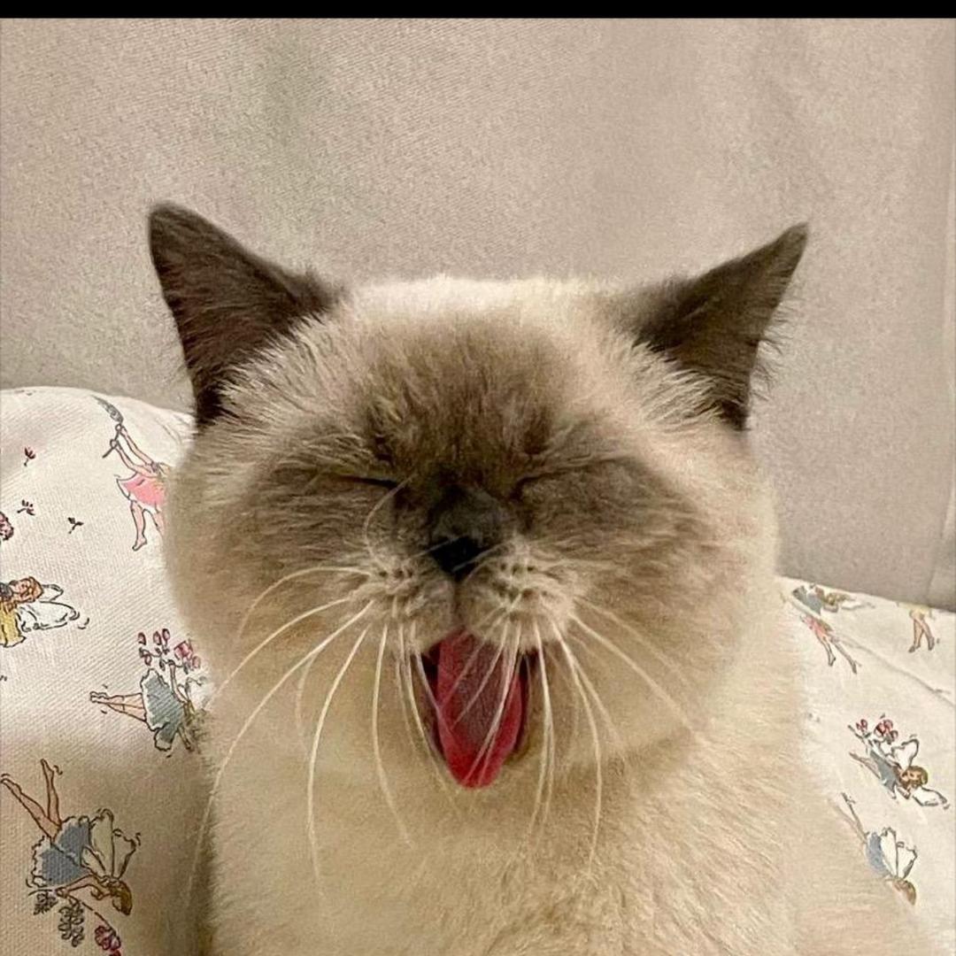 斗罗小二