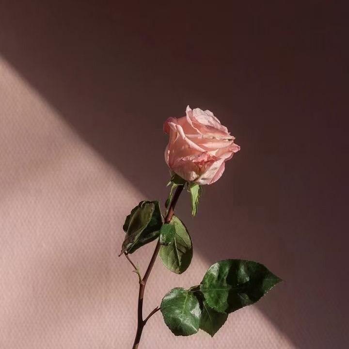 🎐70
