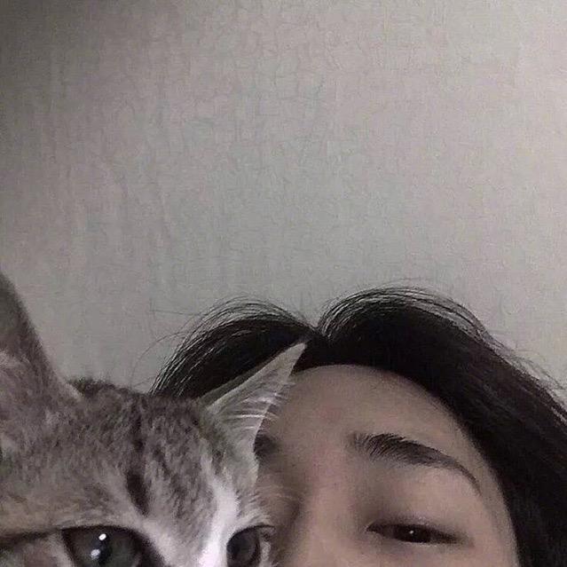 小七