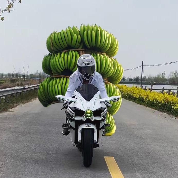 张大文