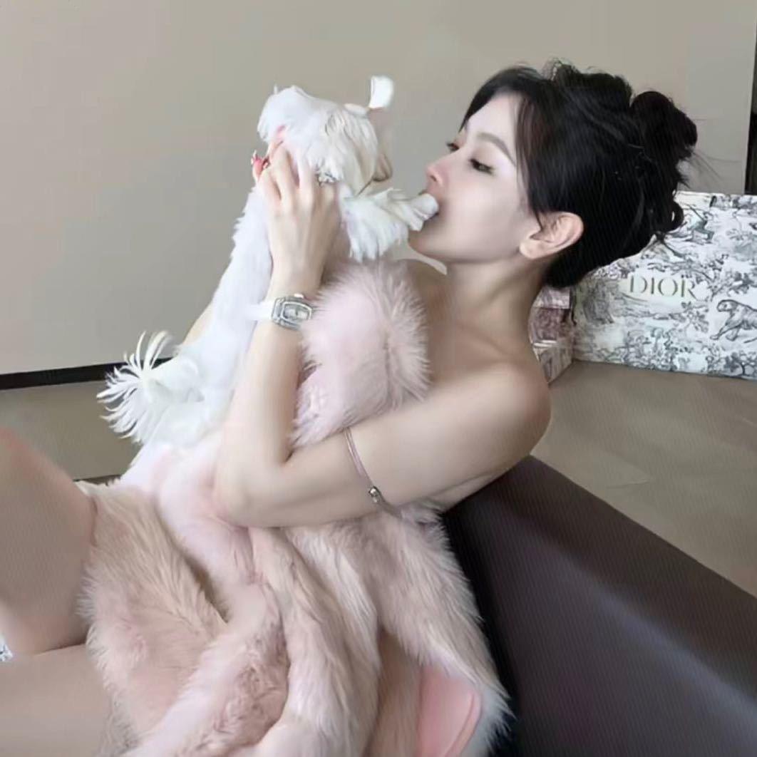 布丁……