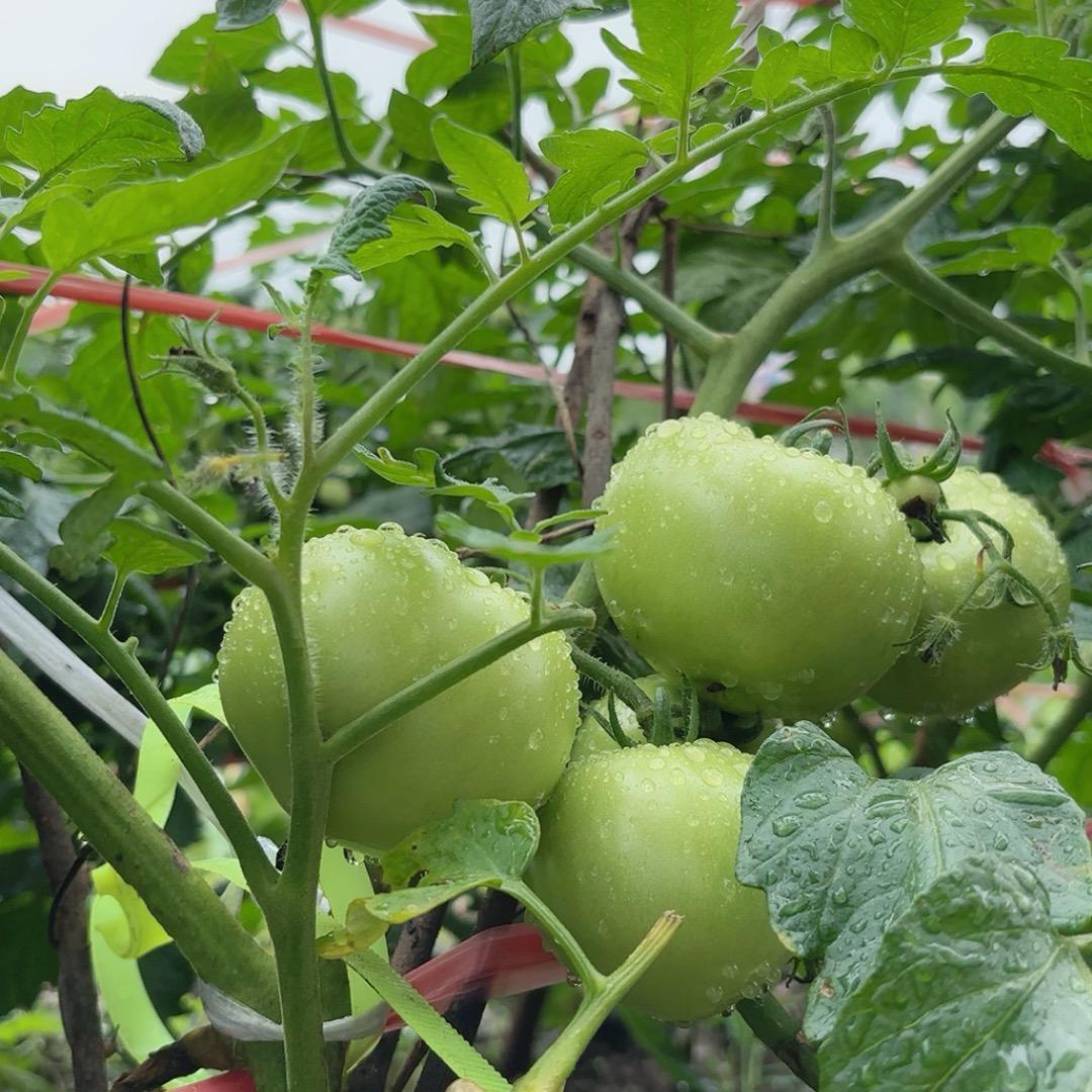 牛晓钰😆😀😆😀