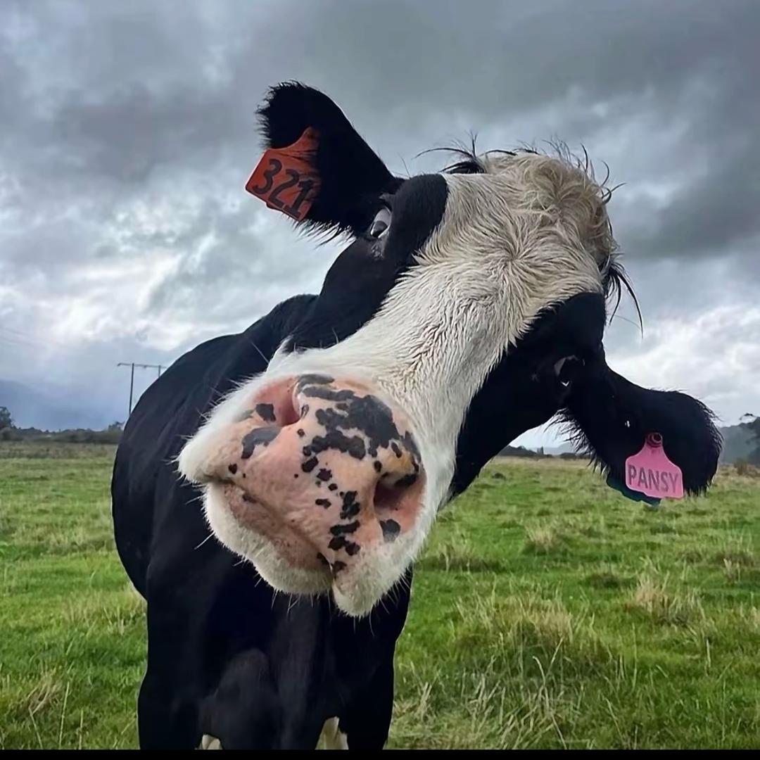 不想上班