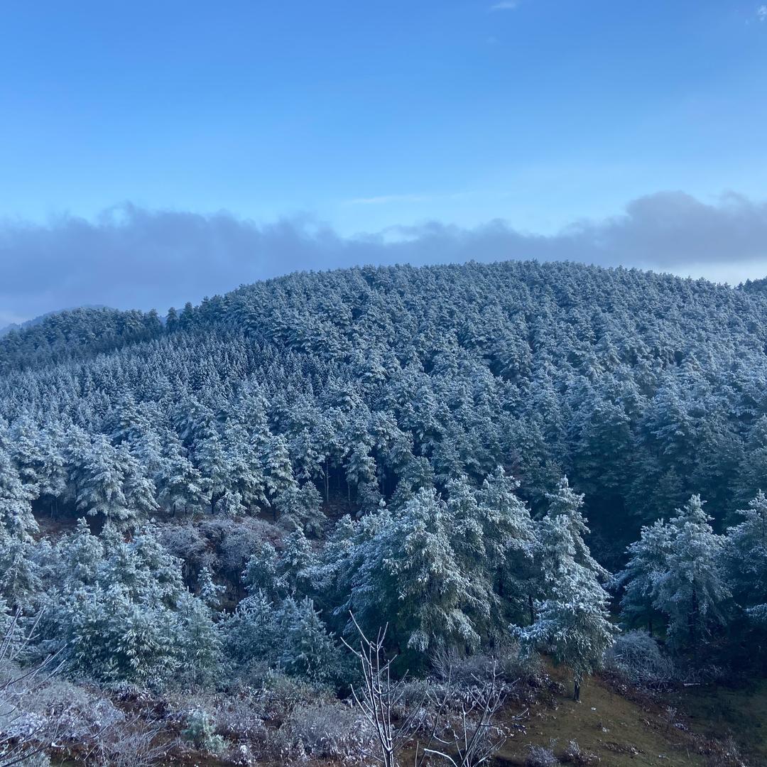 A巧巧手工钩织鞋子
