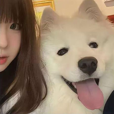 小圆圈
