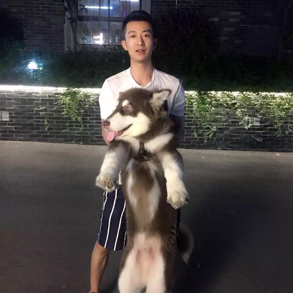 逆风飞翔🏃