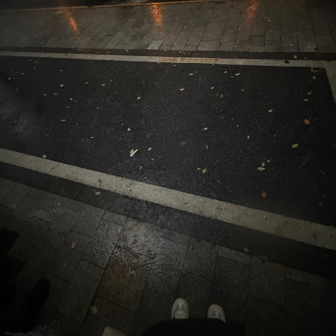 臭儿