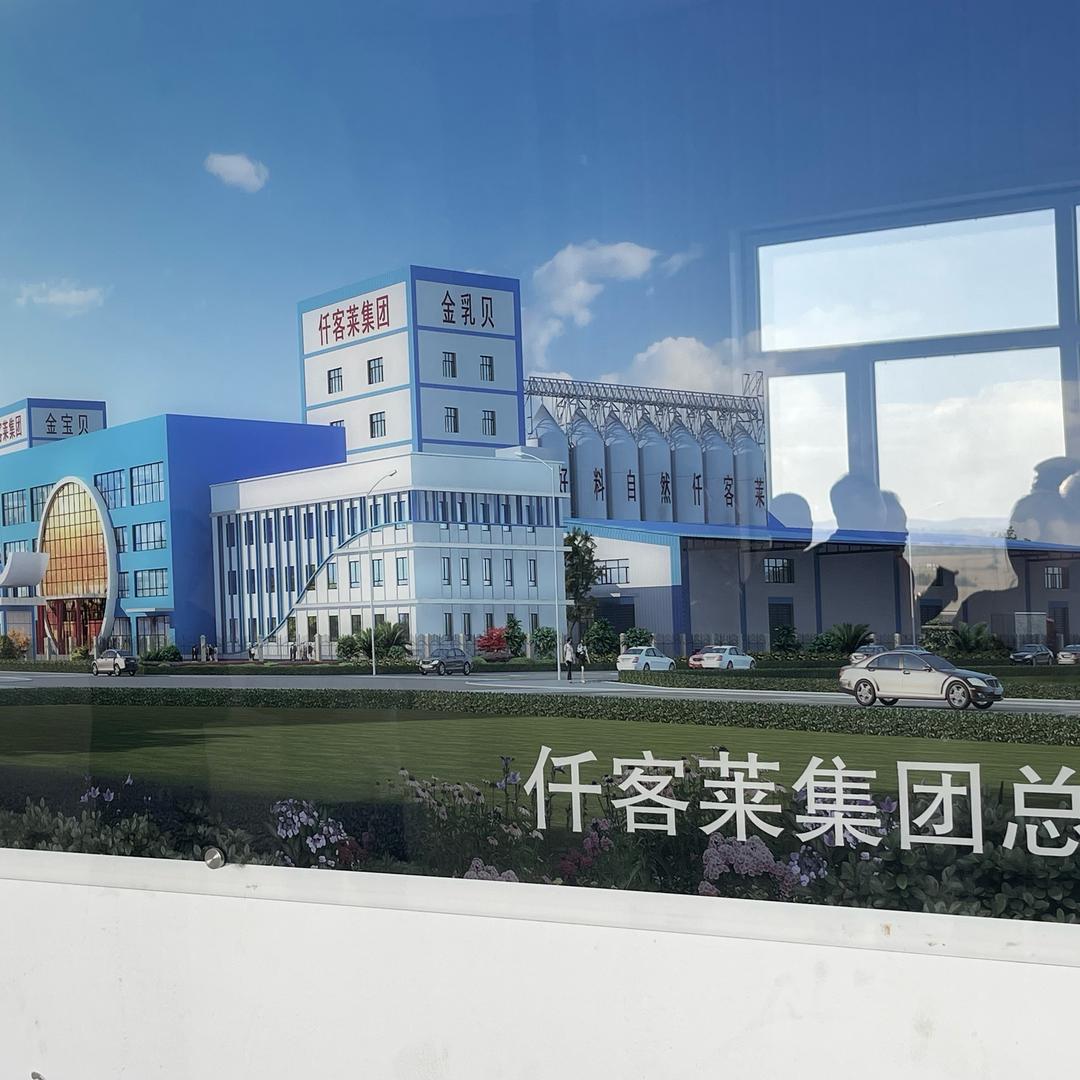 丑八怪