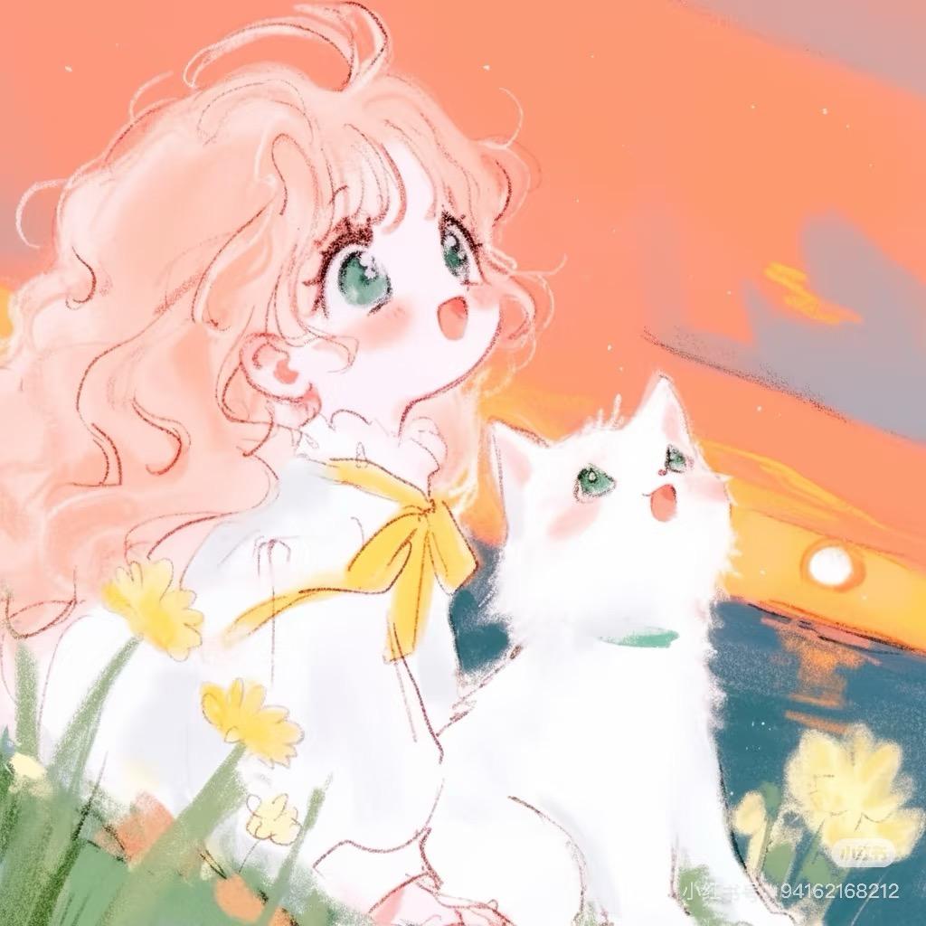 猫猫