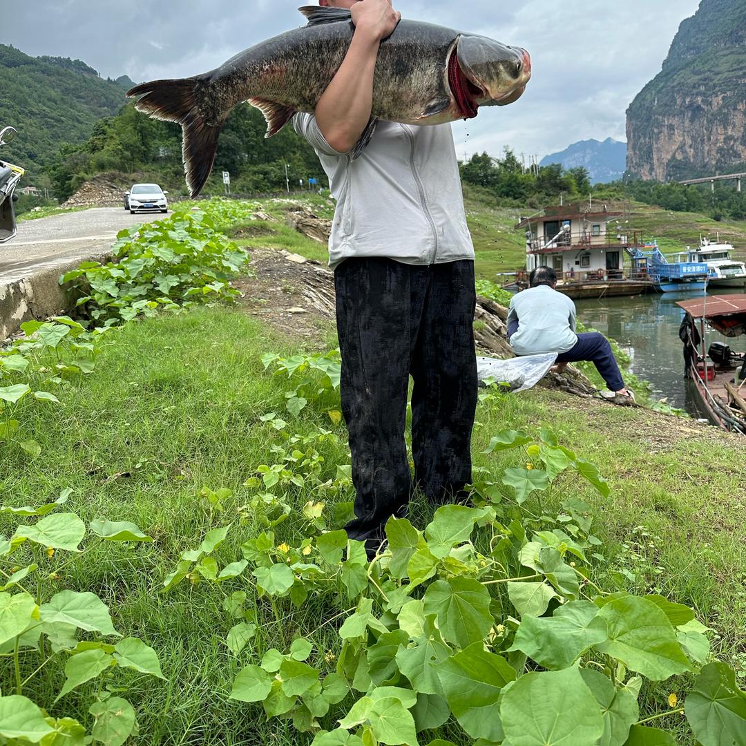 超哥爱钓鱼