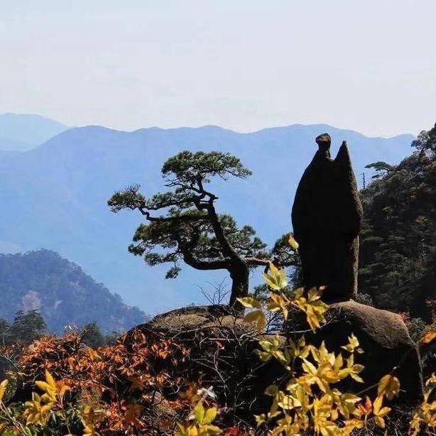 周庸讲山水