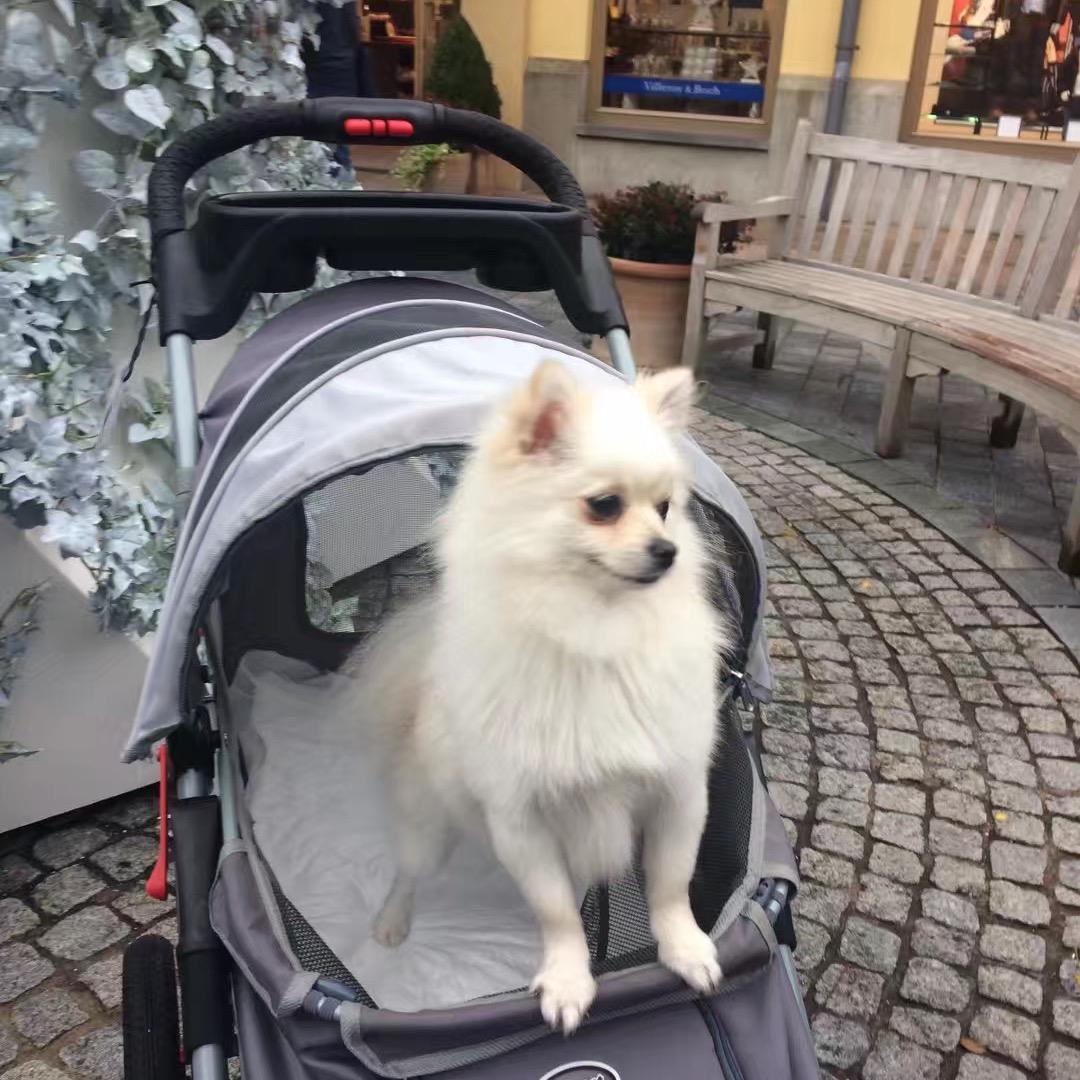 小酒窝女人