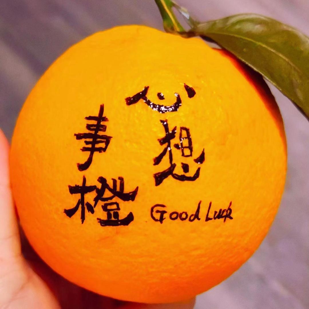 赣南脐橙 （诚招代理)