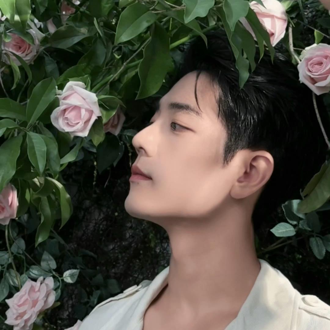 行至于朝星DAYTOY🐰（得闲大卖）