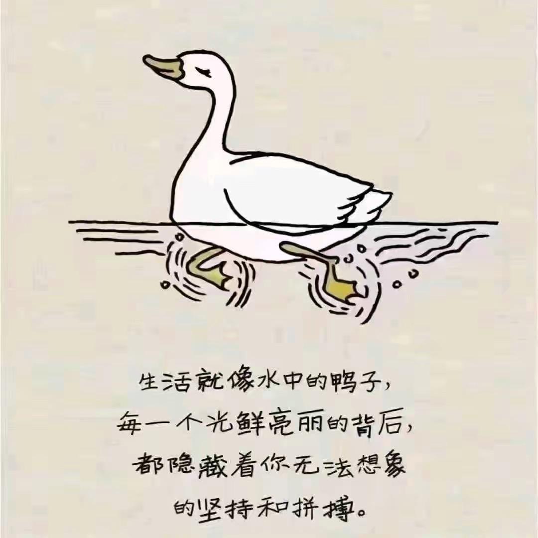 ໑ຼ₀₂₅ღ᭄成先生🧚‍♀️¹ᶟ₁₄