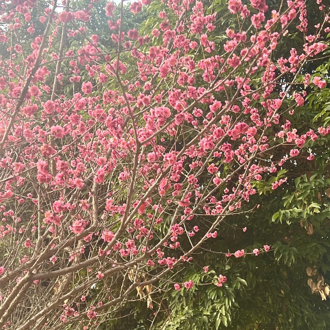 晚霞