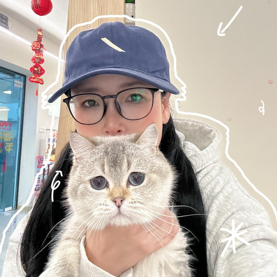 猫价格-宠物猫多少钱一只（养户直发）