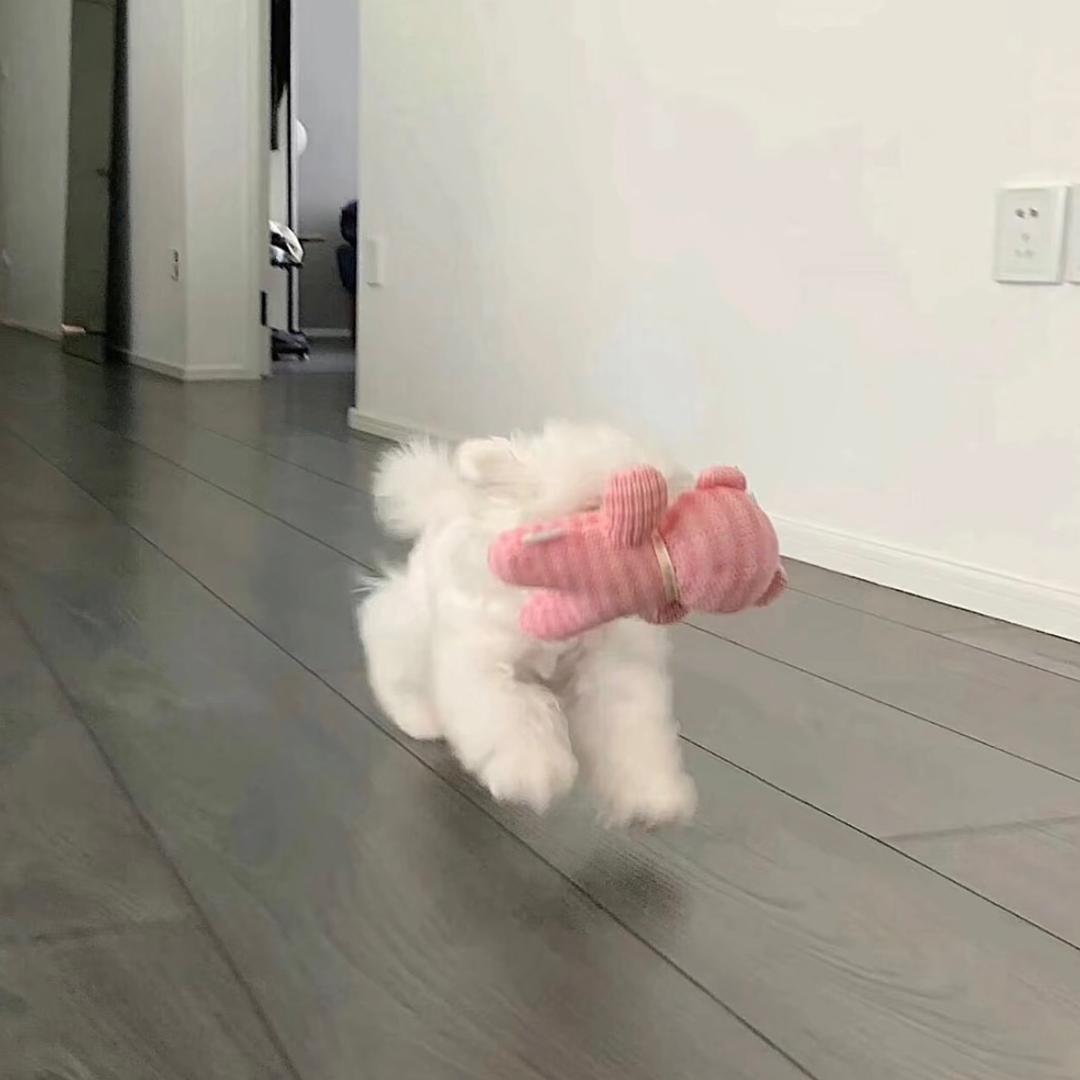 泪泪的