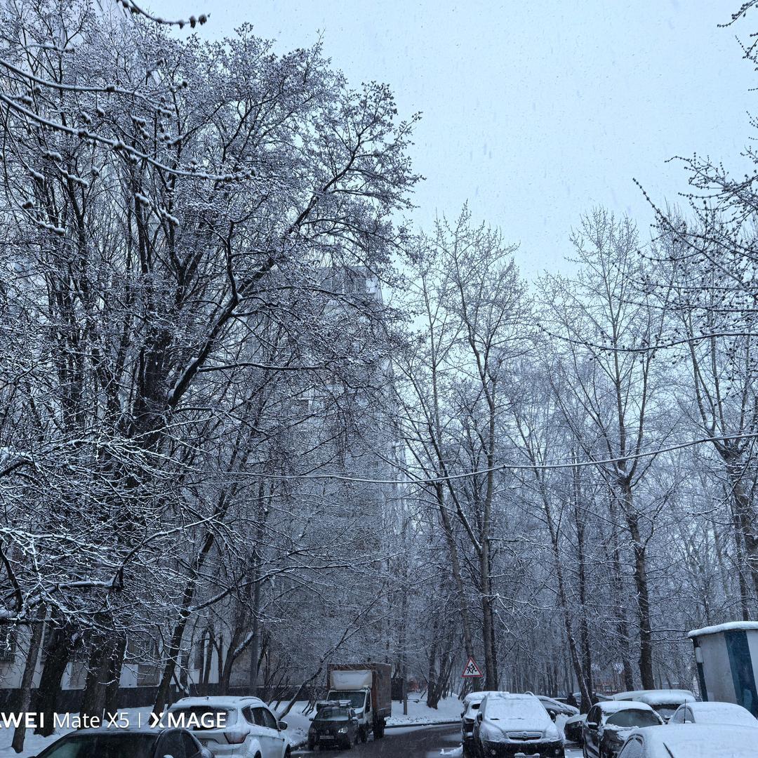 汽车出口 邱圣狮🌏（Lion）